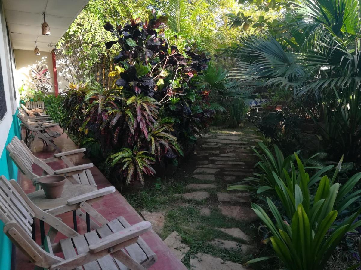 Hostal Harvest House León Buitenkant foto