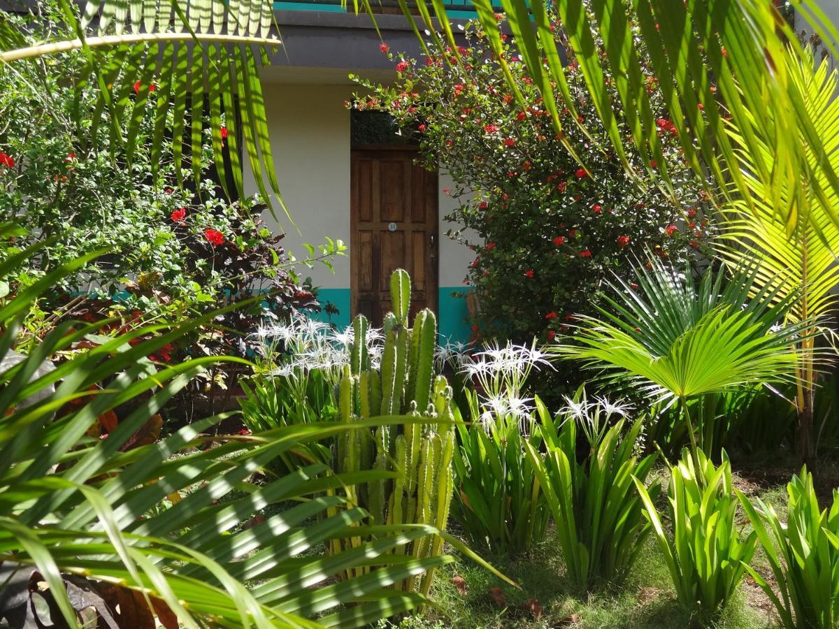 Hostal Harvest House León Buitenkant foto